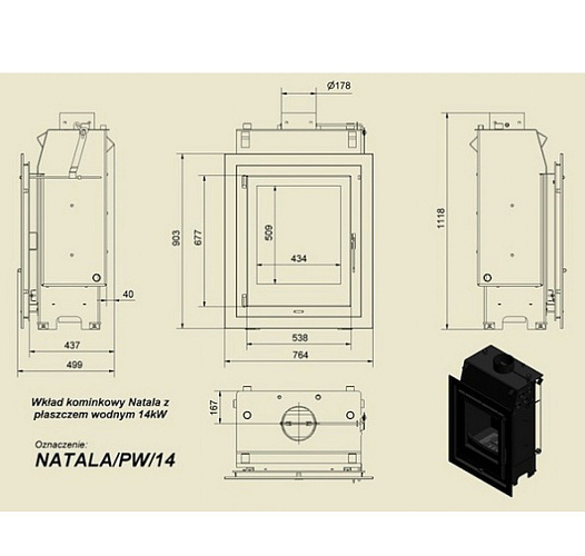 Каминная топка Natala/PW/14/GLASS с водяным контуром двойное стекло_1